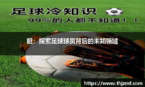 世界杯官网入口